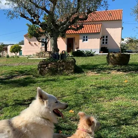Linhal das Meias - São José das Matas Envendos Extérieur photo