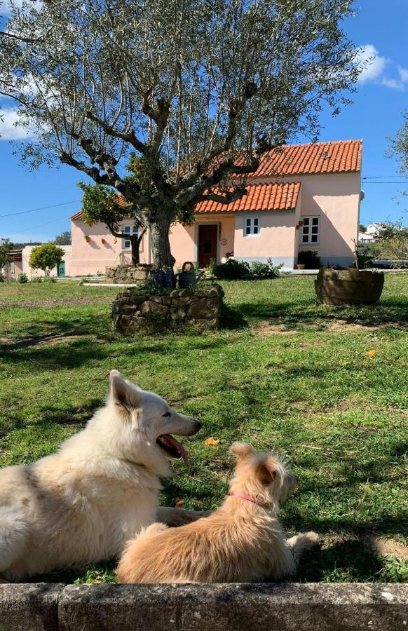 Agroturismo Linhal Meias - São José Matas *