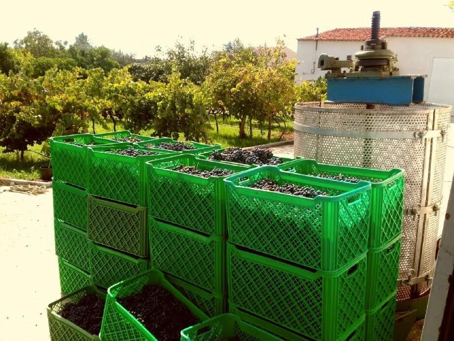 Linhal Meias - São José Matas Agroturismo *