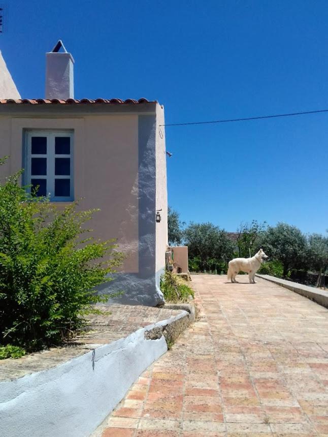 Linhal Meias - São José Matas Agroturismo Envendos