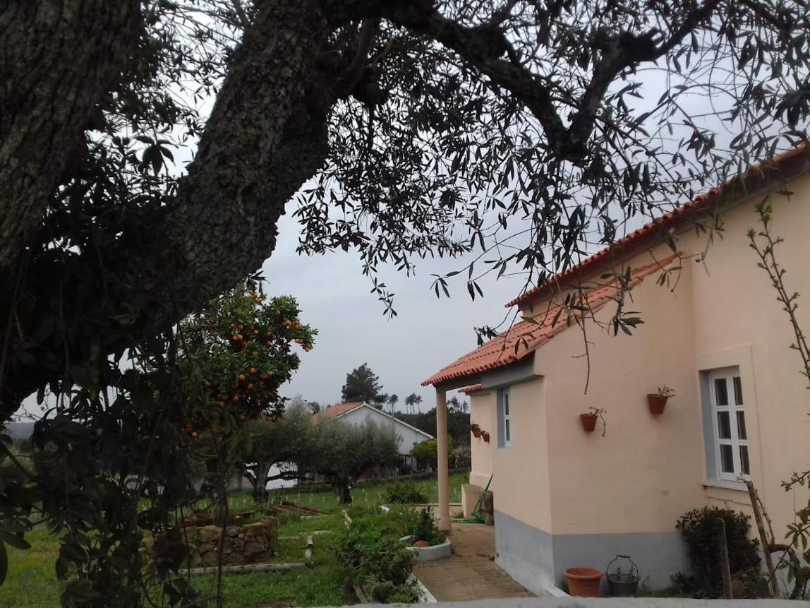Bauernhof Linhal Meias - Sao Jose Matas