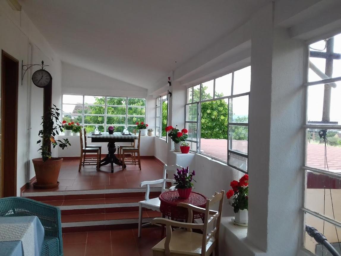 Linhal Meias - Sao Jose Matas Bauernhof Envendos