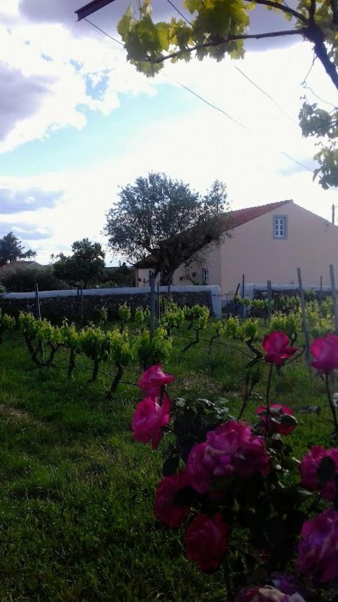 Linhal Meias - São José Matas Agroturismo