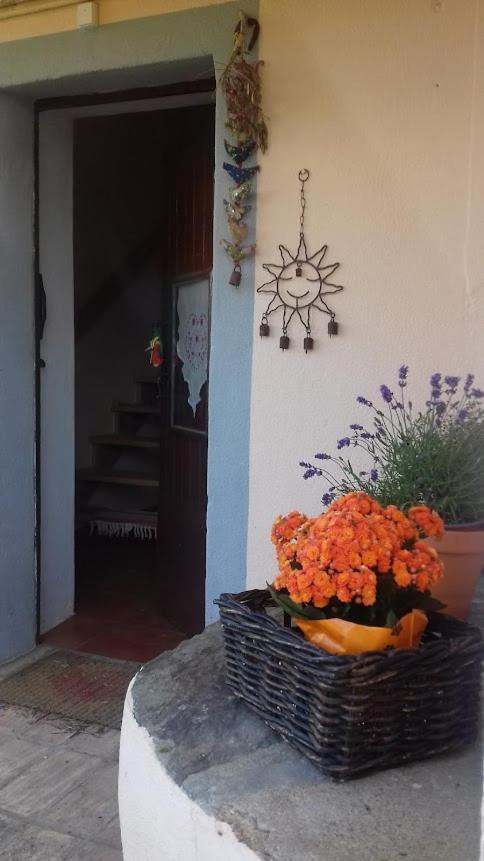 Agroturismo Linhal Meias - São José Matas *