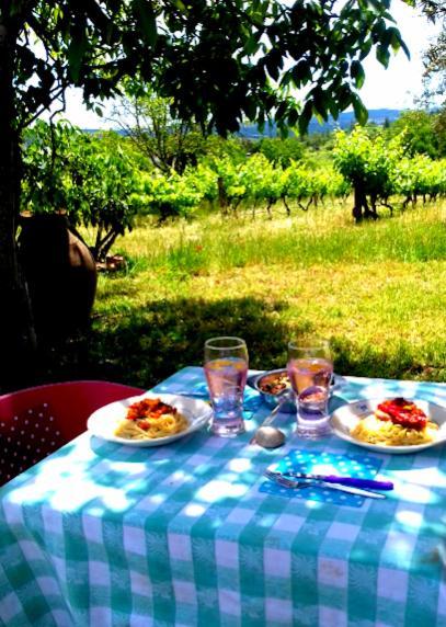 Linhal Meias - São José Matas Agroturismo