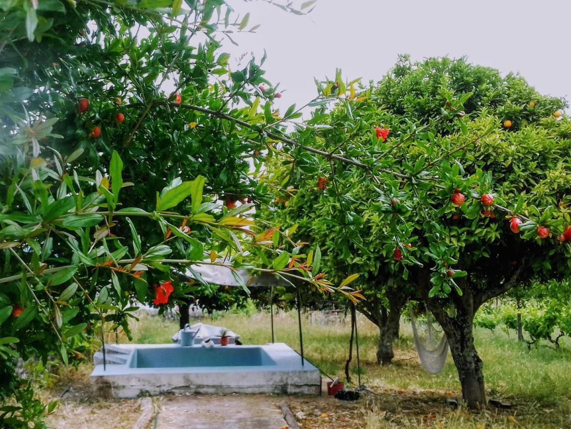 Linhal Meias - Sao Jose Matas