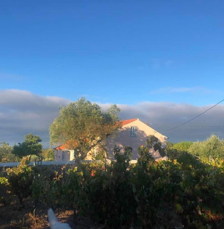 Linhal Meias - São José Matas Agroturismo Envendos