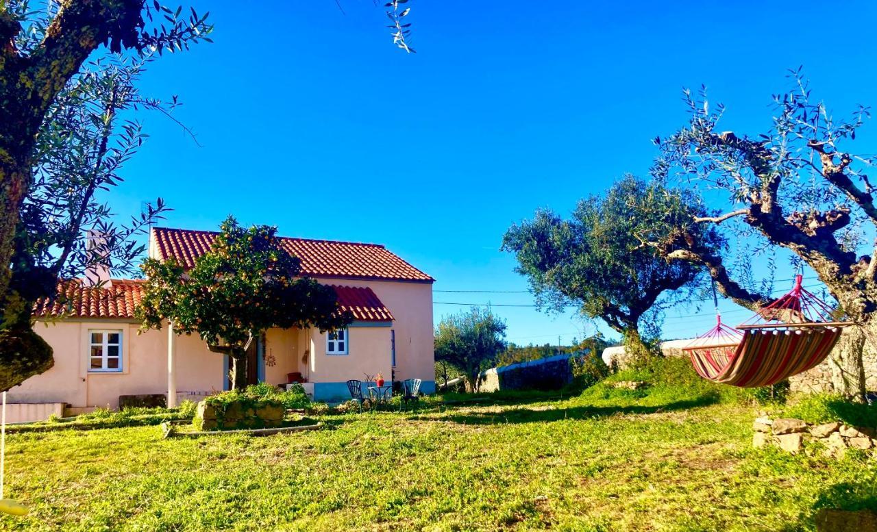 Linhal Meias - Sao Jose Matas Envendos